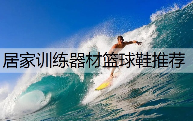 居家训练器材篮球鞋推荐