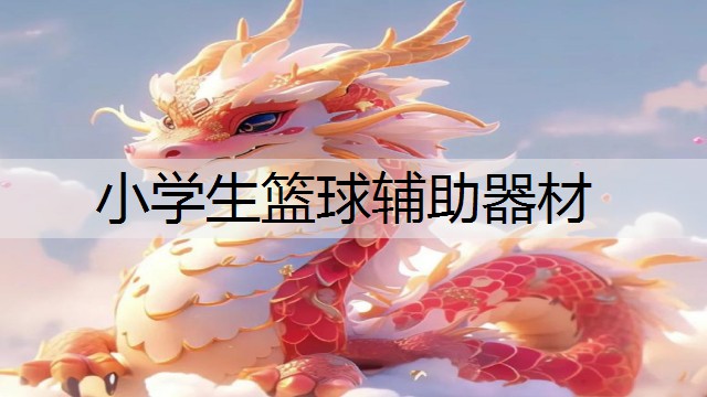 小学生篮球辅助器材