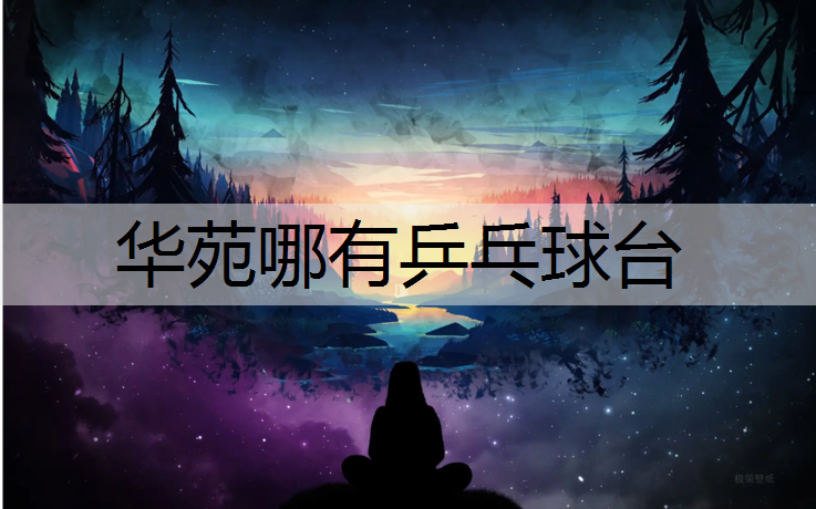 华苑哪有乒乓球台