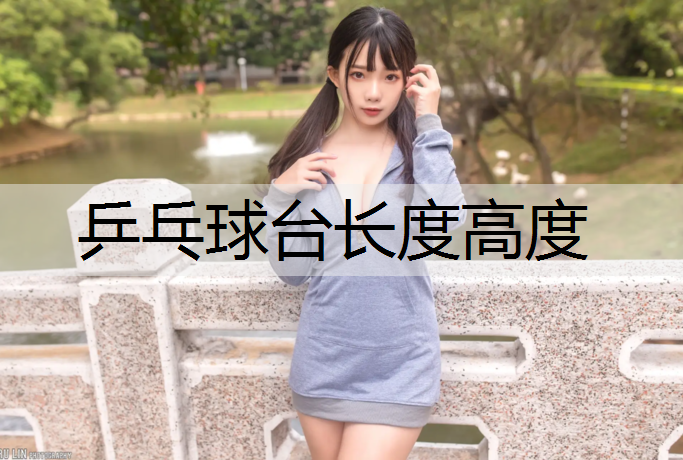 乒乓球台长度高度