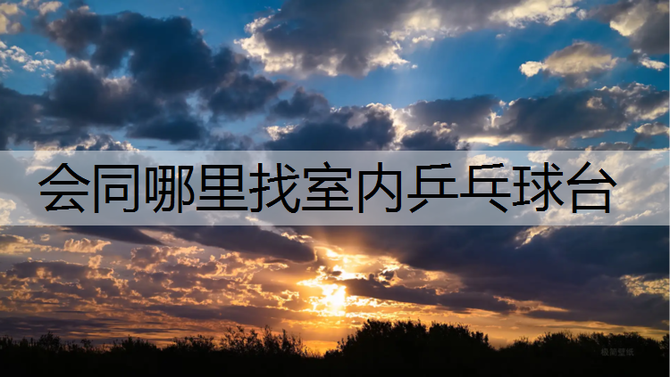 会同哪里找室内乒乓球台