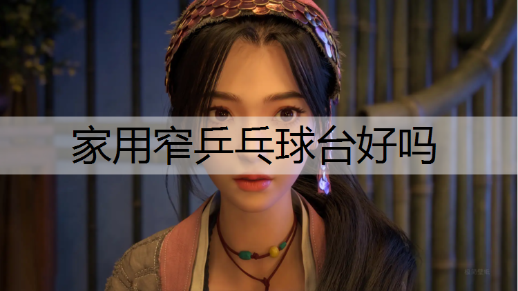 家用窄乒乓球台好吗