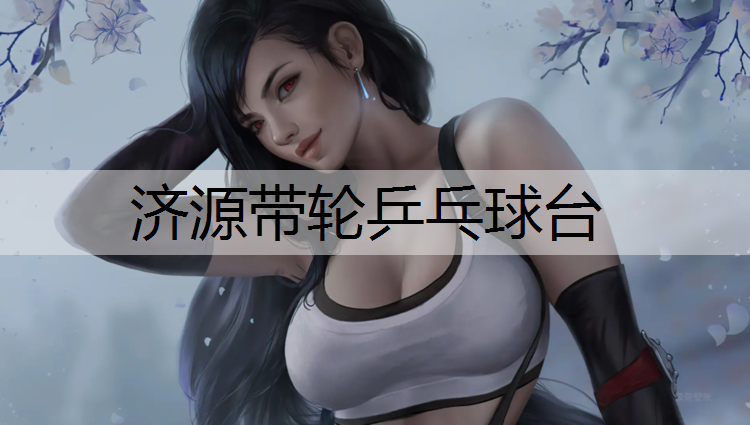 济源带轮乒乓球台
