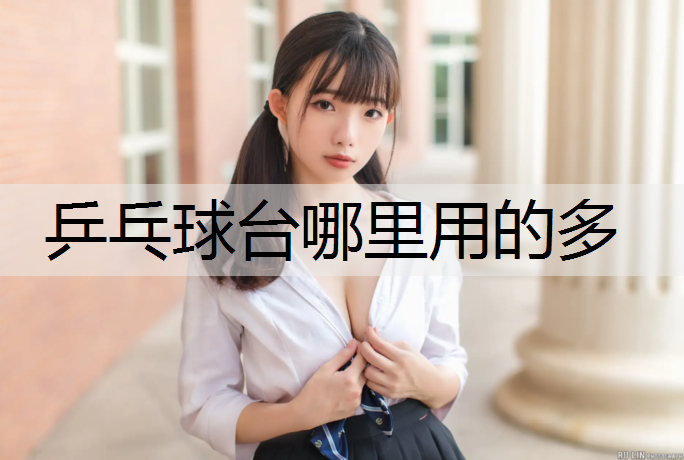 乒乓球台哪里用的多
