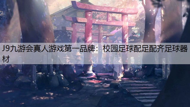 校园足球配足配齐足球器材