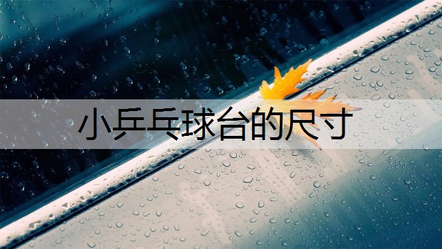 小乒乓球台的尺寸