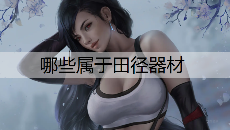 哪些属于田径器材