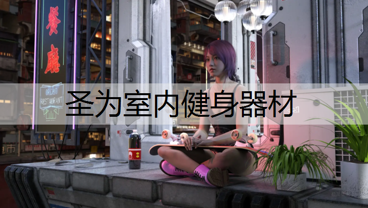 圣为室内健身器材