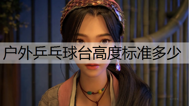 户外乒乓球台高度标准多少