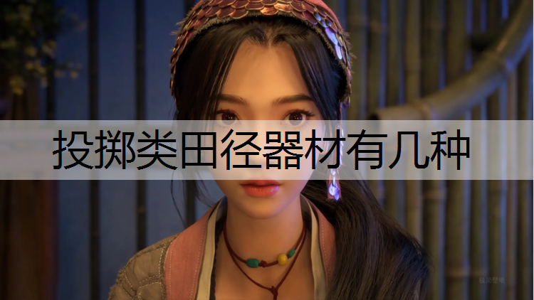 投掷类田径器材有几种